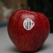 My Favorite Apple by marilyn