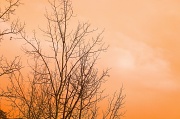 2nd Mar 2012 - sunset (2)