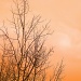 sunset (2) by dmdfday
