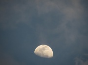 2nd Mar 2012 - Mushroom Moon