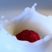 Raspberry and Cream by northy