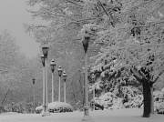 24th Feb 2012 - Snow Scene