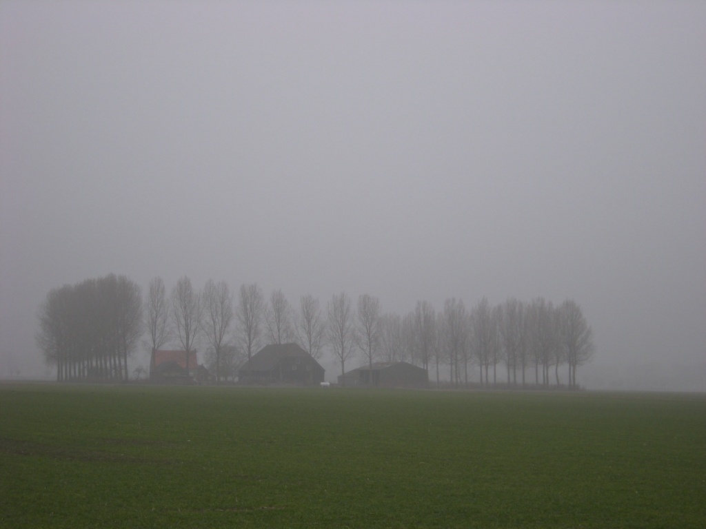 A Dutch farm by pyrrhula