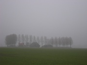 4th Mar 2012 - A Dutch farm