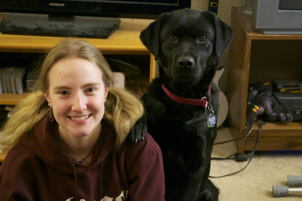 A Great Service Dog To Be by labpotter