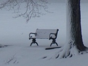 23rd Feb 2012 - Grant Park Bench