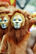 29th Feb 2012 - Lion King