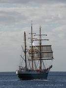 4th Mar 2012 - Sailing Ship