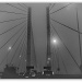 365-64 Queen Elizabeth Bridge in the fog. by judithdeacon