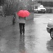 Rainy days and Grey Days  4.3.12 by filsie65
