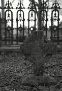 4th Mar 2012 - Graveyard Black & White