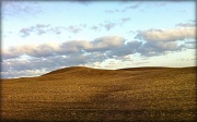 4th Mar 2012 - Sunkissed Hillside