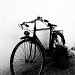 Bike with Hydrangea by seanoneill