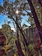 5th Mar 2012 - Illawarra Escarpment 