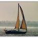 365-65 Evening sailing by judithdeacon
