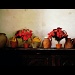Old Vases and Flowers by andycoleborn