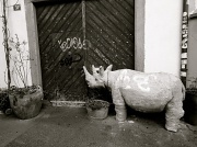 6th Mar 2012 - "Please do not enter with your rhinoceros"