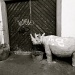 "Please do not enter with your rhinoceros" by cocobella