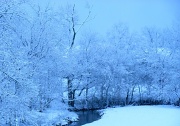 5th Mar 2012 - Snowy Morning