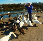 6th Mar 2012 - Swan Lake