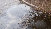 6th Mar 2012 - Reflections in a puddle