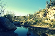 6th Mar 2012 - Desert Reflections