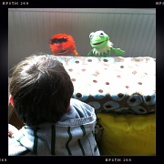 6th Mar 2012 - Muppet Show