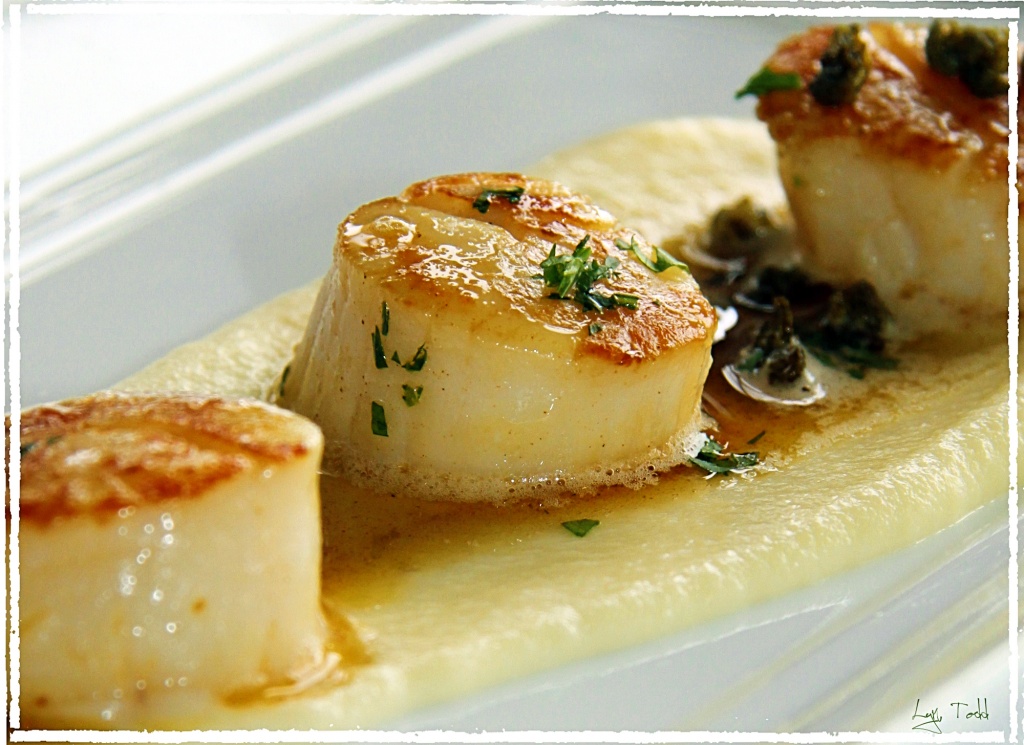 scallops, parsnip puree and sage burnt butter by ltodd