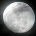  Misty Moon Shining  6.3.12 by filsie65