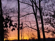 6th Mar 2012 - Sunrise