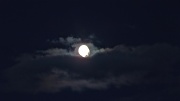 7th Mar 2012 - Moon bulge!