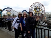 6th Mar 2012 - Disney Chicks