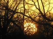 6th Mar 2012 - The Setting Sun