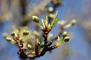 6th Mar 2012 - Spring is coming!