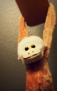 5th Mar 2012 - Monkey Mug