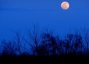 7th Mar 2012 - Big Beautiful Moon