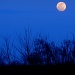 Big Beautiful Moon by cindymc