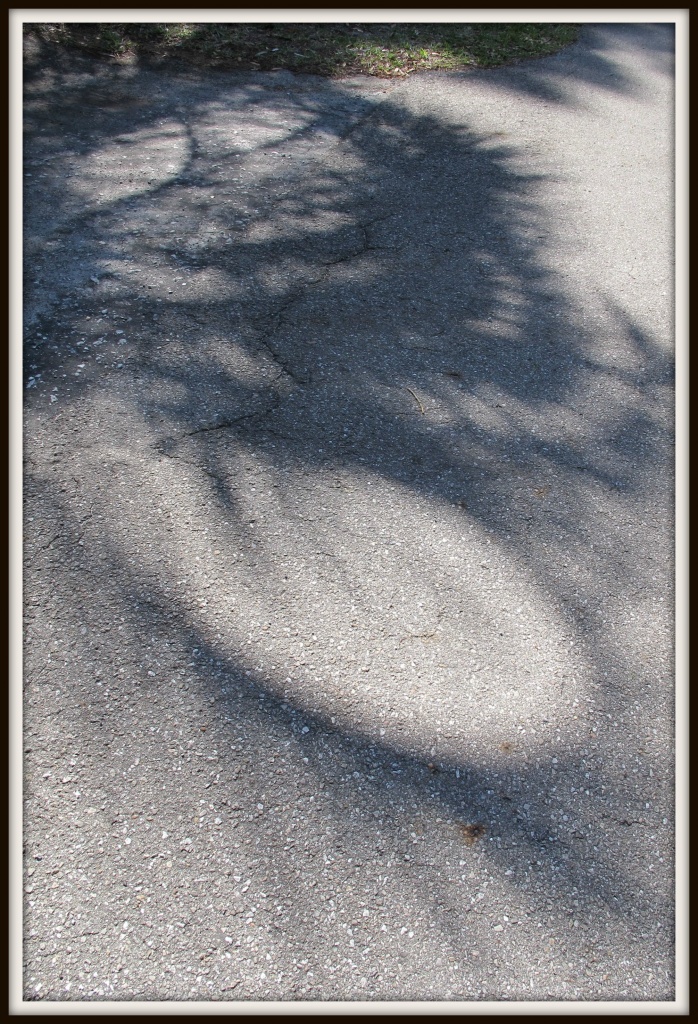 Florida shadows by allie912