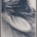 Florida shadows by allie912