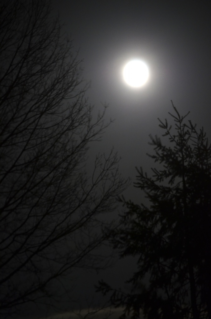 Full Moon Light by ggshearron