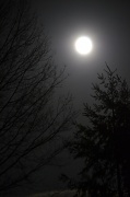 7th Mar 2012 - Full Moon Light