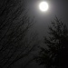 Full Moon Light by ggshearron