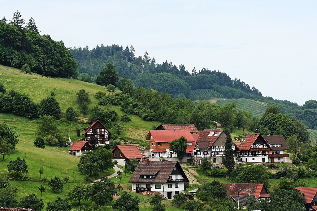 Black Forest Houses by harvey