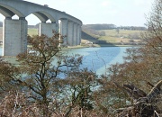 8th Mar 2012 - Shadow on the river