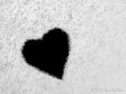 8th Mar 2012 - I Heart Snow