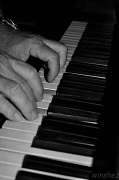9th Mar 2012 - piano man