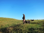 9th Mar 2012 - The Farmer.