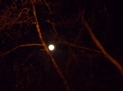8th Mar 2012 - Asda Moon