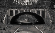 23rd Feb 2012 - Tunnel Vision