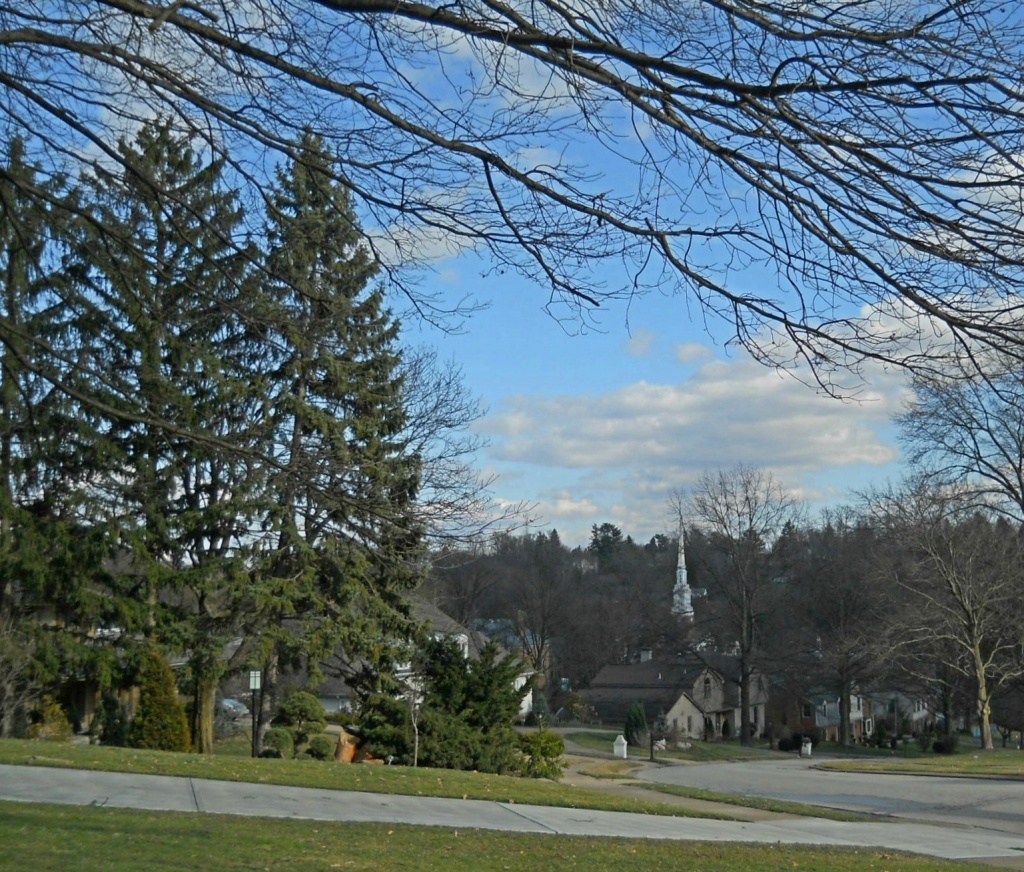 Springlike day in the suburbs by mittens